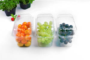 Disposable Fruit Punnet <strong>Clamshell</strong> <strong>Food</strong> <strong>Packaging</strong> Plastic Boxes