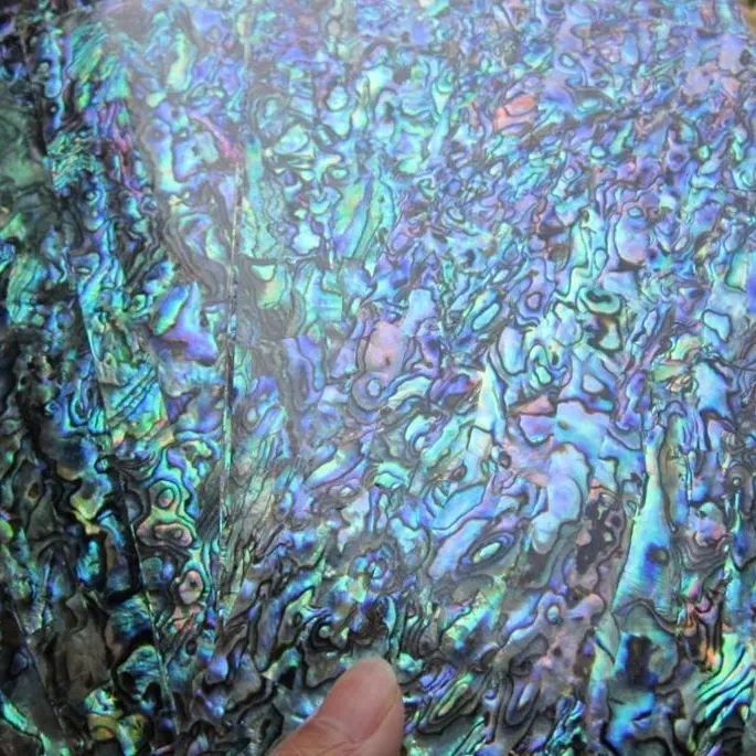 Feuille de coque plastifiante, feuille d'abalone pour Nail Art, nouvelle-zélande, pièces