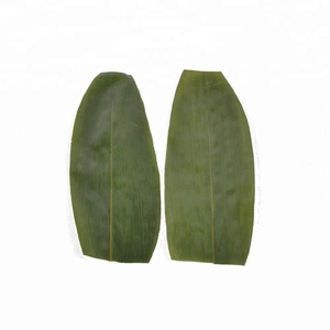 500 pezzi <span class=keywords><strong>di</strong></span> foglie <span class=keywords><strong>di</strong></span> bambù congelate confezionate sottovuoto - Product Image 2