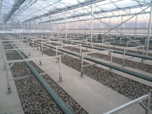 دفيئات زجاجية تجارية من الشركة المصنعة هيكل الدفيئة Serre agicol الزراعة الدفيئة الشتاء الشتوية - Product Image 3