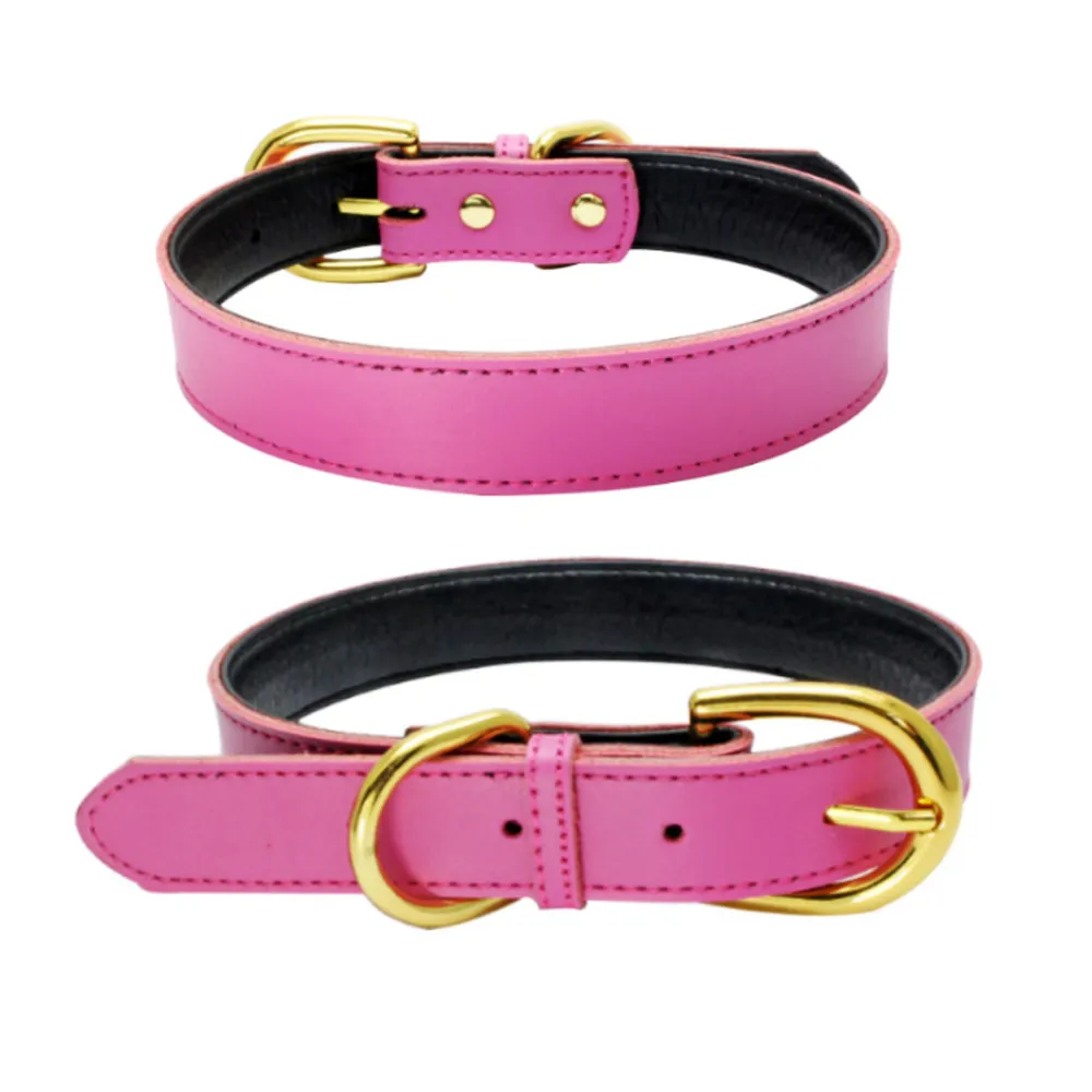Leather Pet Dog Leashes and Collars Set Puppy Leads for Small Dogs Pet Accessories