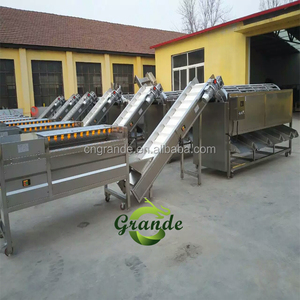 Automatique Châtaigne D'eau Rondelle Pistache et Châtaigne <span class=keywords><strong>Machine</strong></span> <span class=keywords><strong>À</strong></span> <span class=keywords><strong>Laver</strong></span> <span class=keywords><strong>À</strong></span> Vendre - Product Image 5