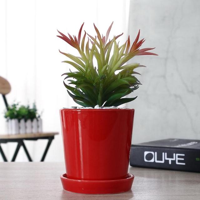 Rojo