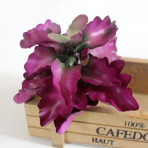 Wholesale <strong>11</strong> Medium Size Succulent <strong>Plants</strong> Artificial Succulent <strong>Plants</strong> Natural - Product Image 4