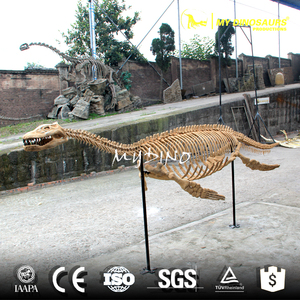 Của Tôi Dino DS004 Kích Thước Thực Sự Thực Tế Nhựa Bộ Xương Khủng Long - Product Image 4