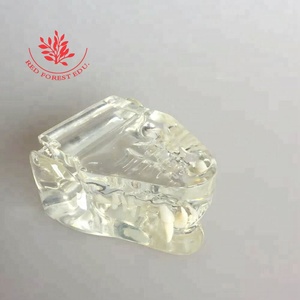 Modelo Transparente de Huesos de Mandíbula y Dientes de Gato y Perro para Anatomía Animal - Product Image 5