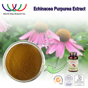 A base de hierbas extracto de la medicina antiviral efecto pura echinacea purpurea extracto de achicoria ácido 2% - Product Image 2