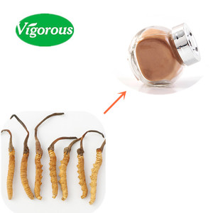 100% טהור טבעי Cordycepin <span class=keywords><strong>Cordyceps</strong></span> Sinensis תמציות אבקה - Product Image 3