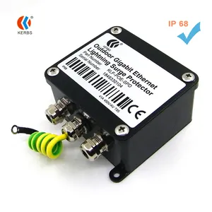 Security Appliance Bliksembeveiliging Cctv Video Ip Camera Gigabit 1000M RJ45 Poe Surge Protector