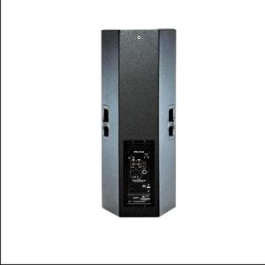 Altavoz <span class=keywords><strong>Doble</strong></span> de 15 Pulgadas con <span class=keywords><strong>Doble</strong></span> Imán <span class=keywords><strong>P</strong></span> Audio - Product Image 5
