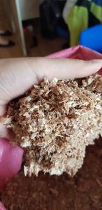 Rasoir en bois massif pour literie d'animaux/10mm-30mm - Product Image 4