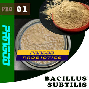 <span class=keywords><strong>Bacillus</strong></span> <span class=keywords><strong>subtilis</strong></span> thức ăn phụ gia tôm Probiotic tỷ CFU - Product Image 1