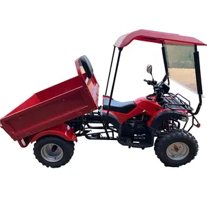 Jinling 4 rodas atv para adultos, agricultor, ajudante com temporizador