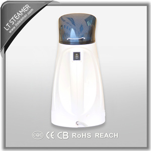 LT STEAMER A7 <strong>Cheap</strong> Electric Travel Handheld Garment Steamer Portable Clothes Steamer for Travel Steam Ironing Factory Direct - Product Image 5