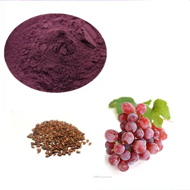 High Quality Proanthocyanidins Grape Seed Extract 95% OPC