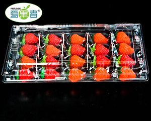 Disposable PET <strong>clear</strong> <strong>Blister</strong> Fruit Box Plastic Tray <strong>Packaging</strong> for <strong>Strawberry</strong>