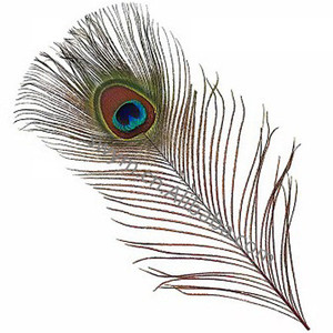<span class=keywords><strong>China</strong></span> (Daratan) Pabrik Top Kualitas Baru Alami Warna Rumbai Fringe Trim Bulu untuk Rambut Anda Alam Merak Bulu