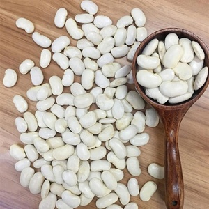 Kidney สีขาว Bean สำหรับกระป๋องอาหาร - Product Image 3