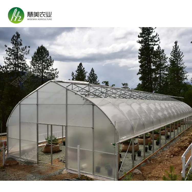 Arch roof type industrial tunnel pyramid greenhouse for flower