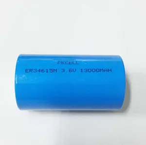 Li-SOCL2 PKCELL Lithium 3.6V Pin D Kích Thước Er34615m Pin Không Sạc Được