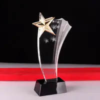 Werknemer erkenning met stervorm goedkope grappige awards kristallen trofee