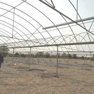 High Quality <strong>Gutter</strong> <strong>Connected</strong> <strong>Greenhouse</strong> in Namibia Africa - Product Image 6
