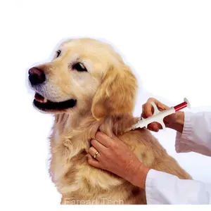 ISO标准芯片跟踪狗11784 11785 1.4x 8mm FDX-B Vet RFID动物微芯片，用于带注射器的狗宠物