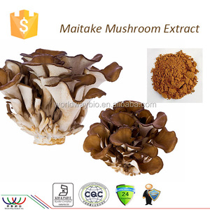 10% de Polisacáridos de Ganoderma Lucidum Karst. <span class=keywords><strong>Hongo</strong></span> <span class=keywords><strong>reishi</strong></span> Extracto de Plantas naturales - Product Image 4