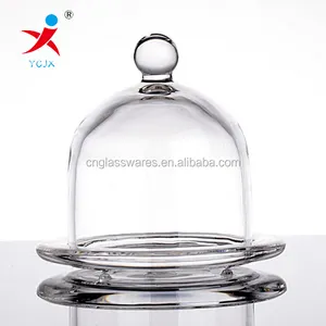 Stofdicht Glas Cover En Glas Base Voor Zoete Voedsel En Droge Bloem Ornament Glas Cake Dome