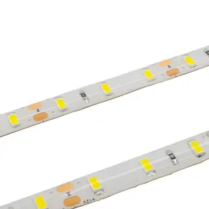 High Bright 120leds/m Ce Rohs Dimmable Cct Color Dc12/24v Flexible Smd 3528 Led Strip