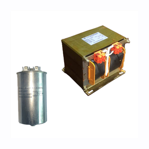 1000 W balasto magnético peces de la lámpara