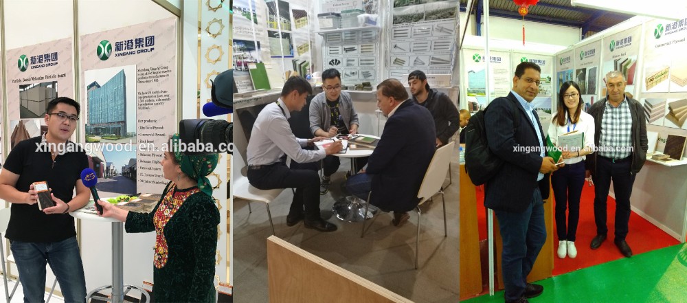 12mm 15mm 18mm 1220x2440mm White Two Sides Melamine Plywood for Furniture and Kitchen Cabinet