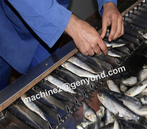 Herramientas y equipos de diseño en procesamiento de peces con precio barato - Product Image 3