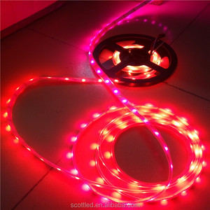 5M 30Pixel/M <strong>WS2813</strong> Digital 5050 RGB LED Strip Light <strong>Individually</strong> <strong>Addressable</strong> - Product Image 4