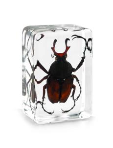 Sciarapone a braccio lungo ecologico in resina, artigianato in vero resina epossidica, campione animale per regali - Product Image 1