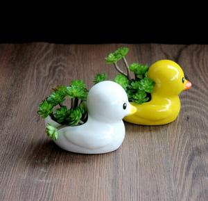슈퍼 귀여운 미니 흰색 노란색 오리 세라믹 식물 꽃 다육 식물 냄비 - Product Image 3