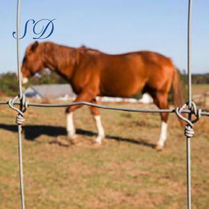 <span class=keywords><strong>Prix</strong></span> bas Chaud Plongé Galvanisé Clôture Du champ des Bovins - Product Image 1