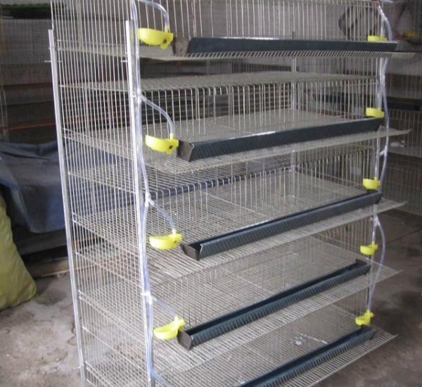 bird breeding equipment