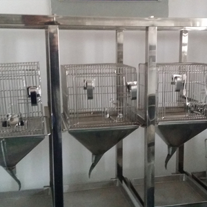 Laboratorium Dier Kooien konijn/kat/aap/rat/varken/kip/eend
