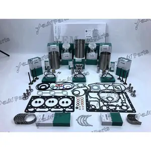 D1005 Engine Rebuild Kit With Gasket Kit Engine Valves Bearings Set For Kubota