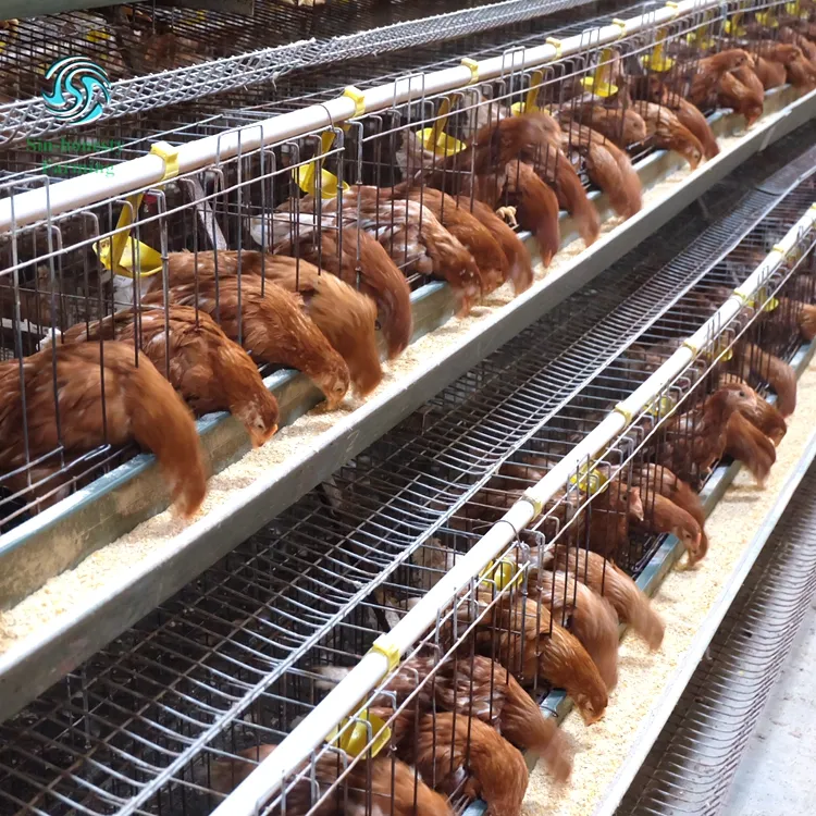 Kandang Baterai Sangkar Telur Ayam Lapisan 4 Tingkat, untuk Peternakan Ayam