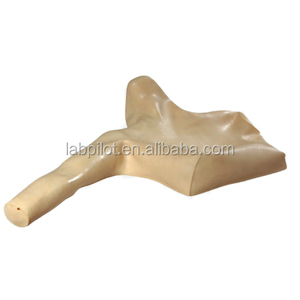 उन्नत PICC सिम्युलेटर, परिधीय शिरापरक पंचर और इंजेक्शन शिक्षण मॉडल - Product Image 2