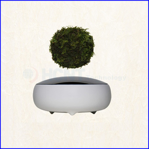 Levitando bonsai árbol de aire interior con plantas verdes - Product Image 6