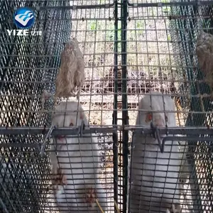 Wholesale Mink Cage for sale /mink breeding cage for sale/new style mink farming (professional Factory)