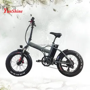 Husky、トルク500ワット電気マウンテンバイク、電動自転車