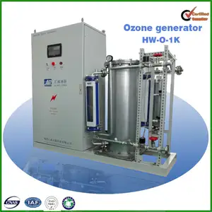 1000mg/hr generador de ozono para el agua ozonizador industrial