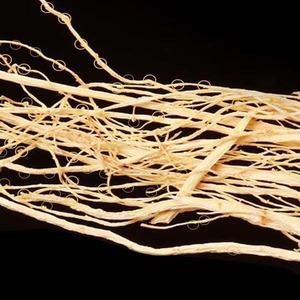 Ücretsiz örnek ot Ginseng kanada seks Ginseng - Product Image 3