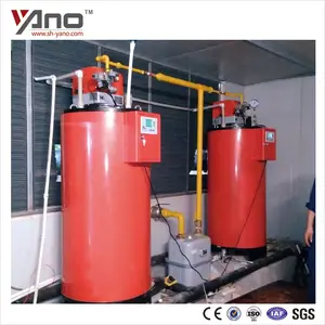 CE & ISO Certificated Swimming Pool Heater 35-1000キログラム/時間Automatic Machine Vertical Gas Steam Boiler