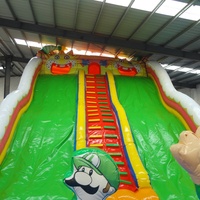 Toboggan gonflable de château plein d'entrain d'enfants de PVC commercial bon marché fait sur commande de haute qualité
