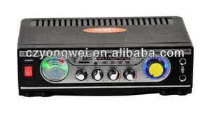 YW-831B AC220v/DC12v high power karaoke verstärker